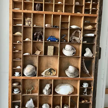 Wooden House In The Dunes Close To The Sea *
