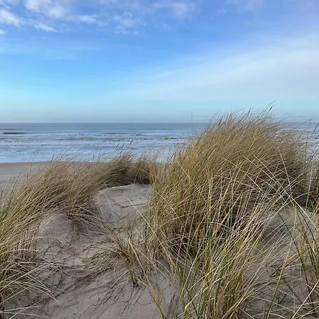 Wooden House In The Dunes Close To The Sea * Pandrup