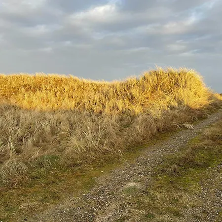Wooden House In The Dunes Close To The Sea *