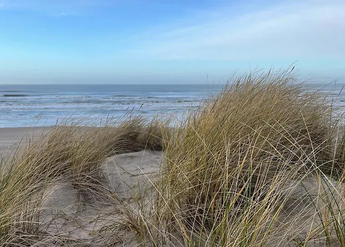 Wooden House In The Dunes Close To The Sea * Pandrup
