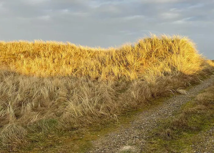 Wooden House In The Dunes Close To The Sea *